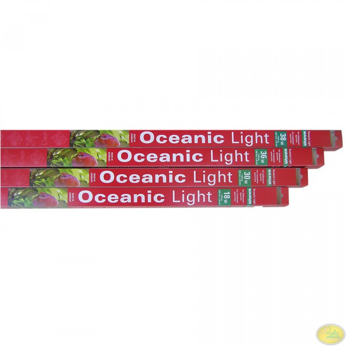 oceanic light